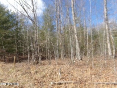 Great level lot in Lake Tansi! Lot is close 

to Lake Tansi on Lake Tansi Village Country Club in Tennessee - for sale on GolfHomes.com, golf home, golf lot