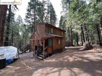 Private Snowshoe Springs Cabin on a nice size 18,295 lot. In on Sequoia Woods Country Club in California - for sale on GolfHomes.com, golf home, golf lot