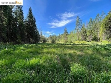 Private Snowshoe Springs Cabin on a nice size 18,295 lot. In on Sequoia Woods Country Club in California - for sale on GolfHomes.com, golf home, golf lot