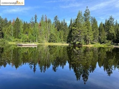 Private Snowshoe Springs Cabin on a nice size 18,295 lot. In on Sequoia Woods Country Club in California - for sale on GolfHomes.com, golf home, golf lot