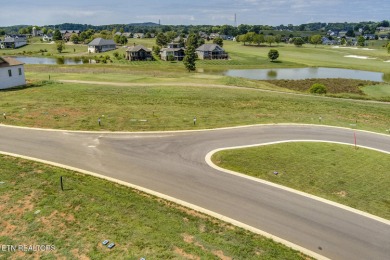 Golf Front Lot in Tennessee National
Discover an incredible on Tennessee National Golf Club in Tennessee - for sale on GolfHomes.com, golf home, golf lot