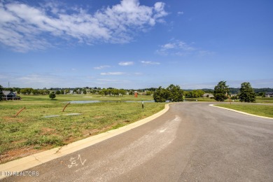 Golf Front Lot in Tennessee National
Discover an incredible on Tennessee National Golf Club in Tennessee - for sale on GolfHomes.com, golf home, golf lot