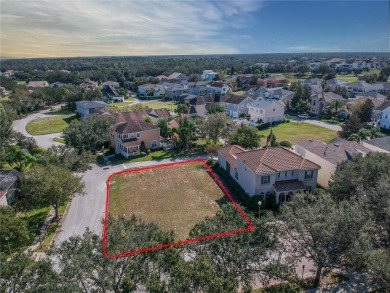 An Incredible Investment Opportunity: One of the last remaining on Reunion Resort Golf Course in Florida - for sale on GolfHomes.com, golf home, golf lot