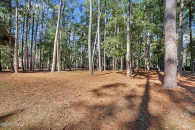 Nestled just 1/3 mile from the fitness center & main gate, 117 on Belfair Golf Club in South Carolina - for sale on GolfHomes.com, golf home, golf lot