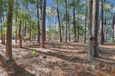 Nestled just 1/3 mile from the fitness center & main gate, 117 on Belfair Golf Club in South Carolina - for sale on GolfHomes.com, golf home, golf lot