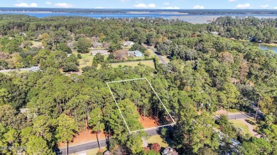 Nestled just 1/3 mile from the fitness center & main gate, 117 on Belfair Golf Club in South Carolina - for sale on GolfHomes.com, golf home, golf lot
