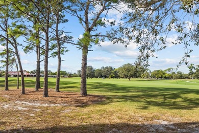 PRICE DROP ALERT!
Stunning Golf Course Pool Home with Sunset on Sara Bay Country Club in Florida - for sale on GolfHomes.com, golf home, golf lot