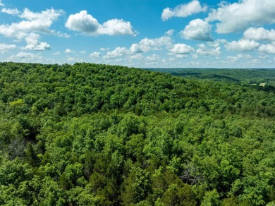 Ozark Dream Cabin - New Log Home on 6+/- Acres waiting on you to on Cherokee Village North Course in Arkansas - for sale on GolfHomes.com, golf home, golf lot
