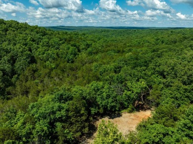 Ozark Dream Cabin - New Log Home on 6+/- Acres waiting on you to on Cherokee Village North Course in Arkansas - for sale on GolfHomes.com, golf home, golf lot