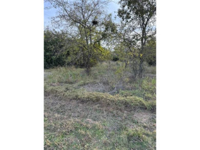 Get away from in all in White Bluff Resort. This lot won't last on White Bluff Resort - New Course in Texas - for sale on GolfHomes.com, golf home, golf lot