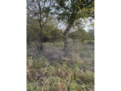 Get away from in all in White Bluff Resort. This lot won't last on White Bluff Resort - New Course in Texas - for sale on GolfHomes.com, golf home, golf lot