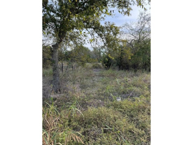 Get away from in all in White Bluff Resort. This lot won't last on White Bluff Resort - New Course in Texas - for sale on GolfHomes.com, golf home, golf lot