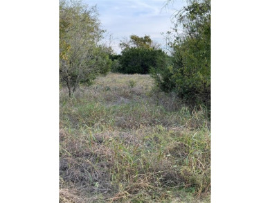 Get away from in all in White Bluff Resort. This lot won't last on White Bluff Resort - New Course in Texas - for sale on GolfHomes.com, golf home, golf lot