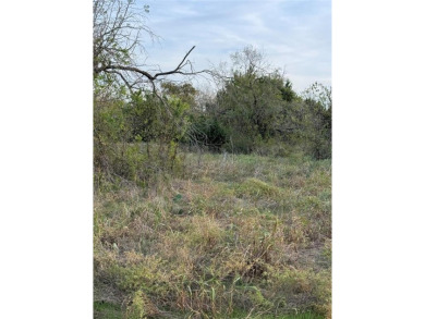 Get away from in all in White Bluff Resort. This lot won't last on White Bluff Resort - New Course in Texas - for sale on GolfHomes.com, golf home, golf lot