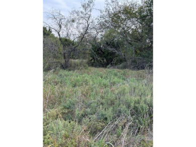 Get away from in all in White Bluff Resort. This lot won't last on White Bluff Resort - New Course in Texas - for sale on GolfHomes.com, golf home, golf lot