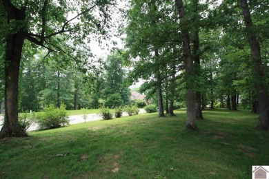 Looking for 2 nice lots (1.16 acres) close to town?  These on Arrowhead Golf Club in Kentucky - for sale on GolfHomes.com, golf home, golf lot