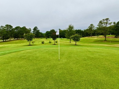 This beautifully remodeled home offers charm, modern convenience on Pineview Country Club in Alabama - for sale on GolfHomes.com, golf home, golf lot