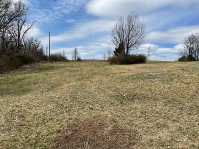 A large 1.504 acre lot just across the road from the Dock and on Peninsula Golf Resort in Kentucky - for sale on GolfHomes.com, golf home, golf lot