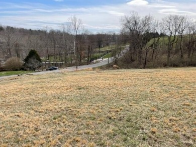 A large 1.504 acre lot just across the road from the Dock and on Peninsula Golf Resort in Kentucky - for sale on GolfHomes.com, golf home, golf lot