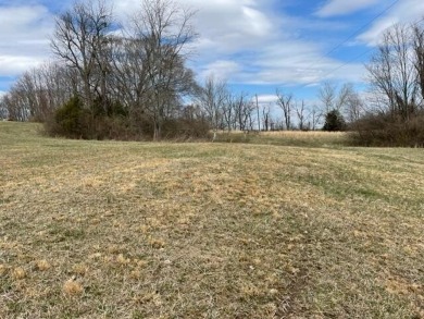 A large 1.504 acre lot just across the road from the Dock and on Peninsula Golf Resort in Kentucky - for sale on GolfHomes.com, golf home, golf lot