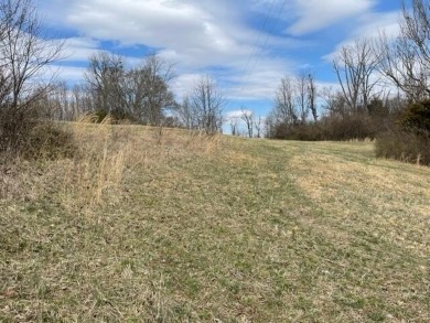 A large 1.504 acre lot just across the road from the Dock and on Peninsula Golf Resort in Kentucky - for sale on GolfHomes.com, golf home, golf lot