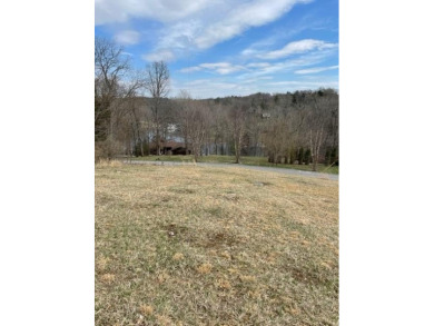 A large 1.504 acre lot just across the road from the Dock and on Peninsula Golf Resort in Kentucky - for sale on GolfHomes.com, golf home, golf lot