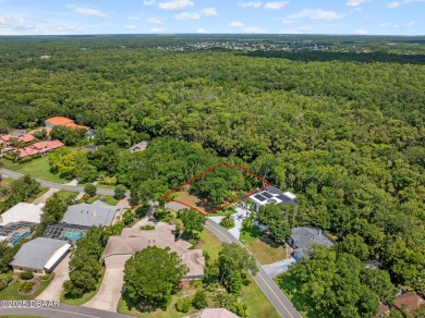 Tucked inside one of Florida's most distinctive GATED on Spruce Creek Golf Club in Florida - for sale on GolfHomes.com, golf home, golf lot