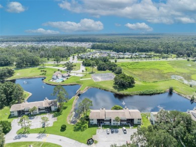 Welcome to worry-free, maintenance-free living in the charming on Continental Country Club in Florida - for sale on GolfHomes.com, golf home, golf lot