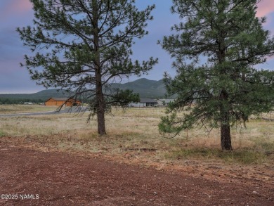 Right in the heart of Highland Meadows Golf Community, this on Elephant Rocks at Williams in Arizona - for sale on GolfHomes.com, golf home, golf lot