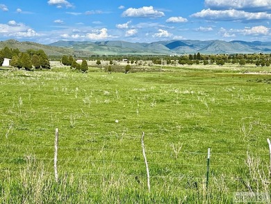 Overlooking beautiful Alexander Resevoir this 5.40 acre lot has on  in  - for sale on GolfHomes.com, golf home, golf lot