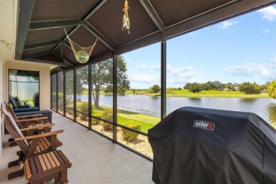 Welcome to a beautifully designed gem in The Villages, where on Egret Championship Golf Course in Florida - for sale on GolfHomes.com, golf home, golf lot