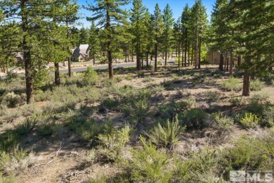 Build your own dream home amongst the tall pines in beautiful on Montreux Golf and Country Club in Nevada - for sale on GolfHomes.com, golf home, golf lot