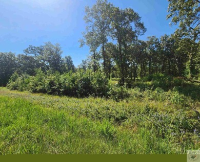 8.9 acres of partially wooded land that has enormous development on Oak Grove Golf Club in Texas - for sale on GolfHomes.com, golf home, golf lot