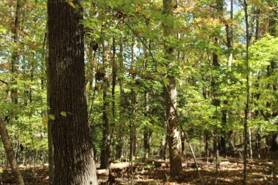 This  beautiful lot in a great neighborhood is an ideal on Chatuge Shores Golf Course in North Carolina - for sale on GolfHomes.com, golf home, golf lot