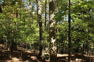 This  beautiful lot in a great neighborhood is an ideal on Chatuge Shores Golf Course in North Carolina - for sale on GolfHomes.com, golf home, golf lot