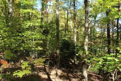 This  beautiful lot in a great neighborhood is an ideal on Chatuge Shores Golf Course in North Carolina - for sale on GolfHomes.com, golf home, golf lot