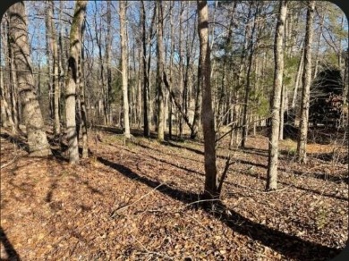 If you're looking for a homesite in a Golf/Equestrian community on Mount Vintage Plantation and Golf Club  in South Carolina - for sale on GolfHomes.com, golf home, golf lot