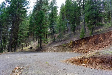 Secluded, yet conveniently located 5 acre private wooded parcel on Meadowcreek Golf Resort in Idaho - for sale on GolfHomes.com, golf home, golf lot