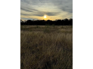 Perfect lot for anyone with horses. Almost 2 acres located in on White Bluff Resort - Old Course in Texas - for sale on GolfHomes.com, golf home, golf lot