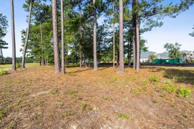 Prime location on the water.  One of the last lots left in this on Heron Point Golf Club in South Carolina - for sale on GolfHomes.com, golf home, golf lot