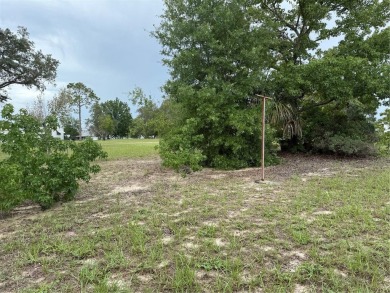 Live the Florida Lifestyle You've Been Dreaming Of!
Welcome to on High Point Golf Club, Inc. in Florida - for sale on GolfHomes.com, golf home, golf lot