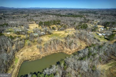 Only three miles to Hawks Ridge Golf Club. One of the MOST on Hawks Ridge Golf Club in Georgia - for sale on GolfHomes.com, golf home, golf lot