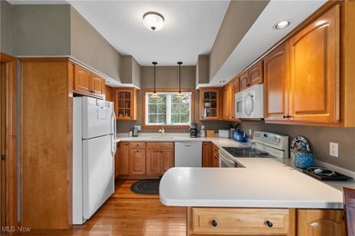 Welcome to 607 Rundle St, an architectural designed and custom on Grey Hawk Golf Club in Ohio - for sale on GolfHomes.com, golf home, golf lot