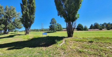 110 Bogie Lane #2B  Located in the Mountain Resort of Ruidoso! on Cree Meadows Country Club in New Mexico - for sale on GolfHomes.com, golf home, golf lot