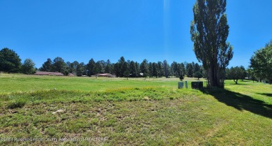 110 Bogie Lane #2B  Located in the Mountain Resort of Ruidoso! on Cree Meadows Country Club in New Mexico - for sale on GolfHomes.com, golf home, golf lot