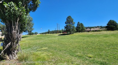 110 Bogie Lane #2B  Located in the Mountain Resort of Ruidoso! on Cree Meadows Country Club in New Mexico - for sale on GolfHomes.com, golf home, golf lot