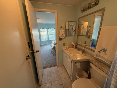 This well-cared for Palm Harbor stucco home provides beautiful on Del Tura Golf and Country Club in Florida - for sale on GolfHomes.com, golf home, golf lot