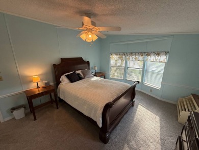 This well-cared for Palm Harbor stucco home provides beautiful on Del Tura Golf and Country Club in Florida - for sale on GolfHomes.com, golf home, golf lot