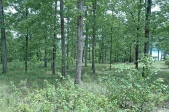Beautiful Greers Ferry Lake view, buildable lot in a nice, quiet on Indian Hills Country Club in Arkansas - for sale on GolfHomes.com, golf home, golf lot