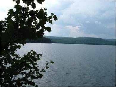 Looking for an exceptional location to build your lakefront on Belgrade Lakes Golf Club in Maine - for sale on GolfHomes.com, golf home, golf lot